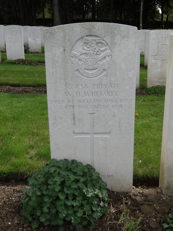 WhitakerW